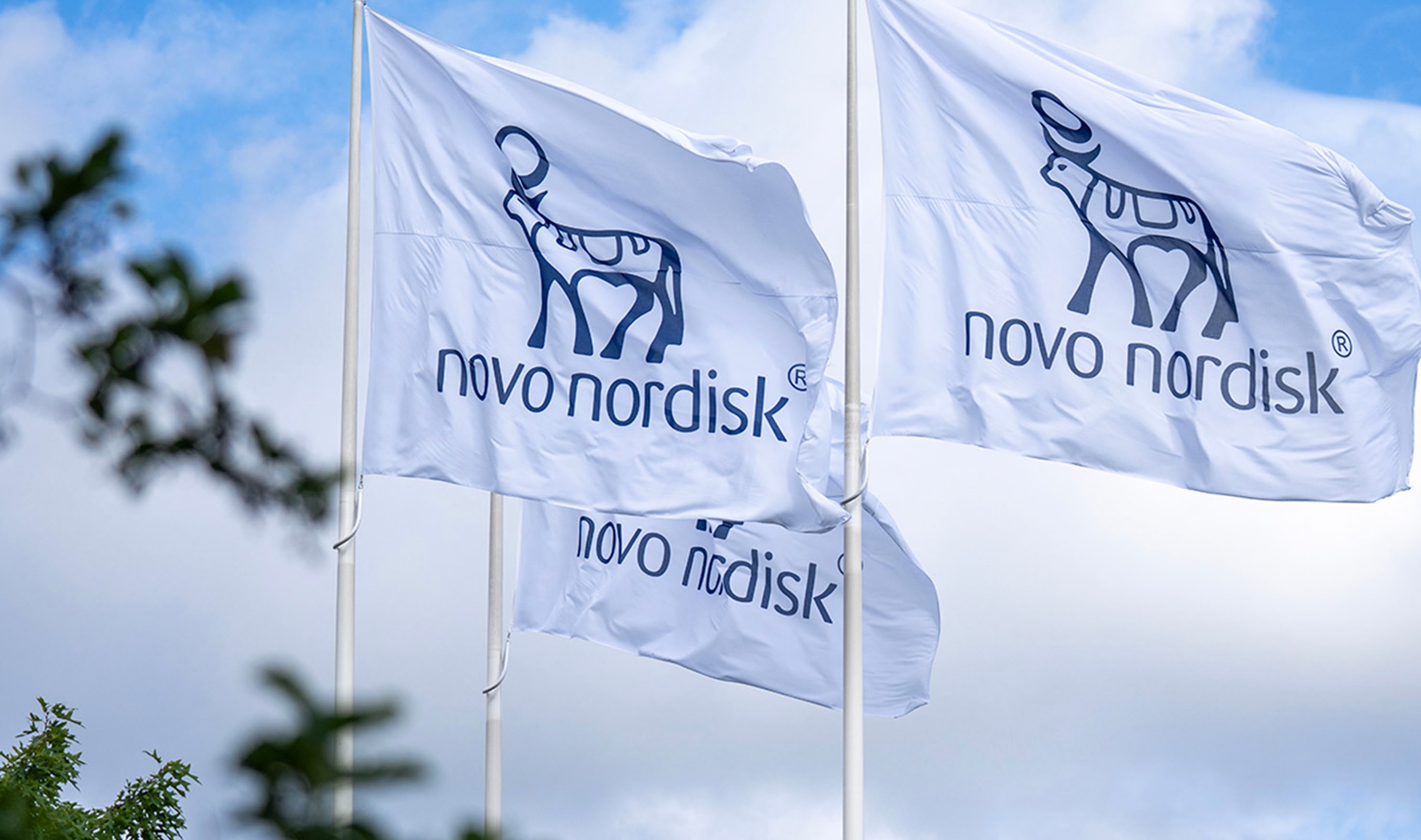 Welcome To Novo Nordisk In The U.S. | Novo Nordisk U.S. Website